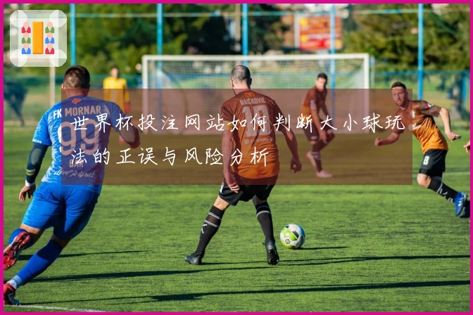 世界杯投注网站如何判断大小球玩法的正误与风险分析