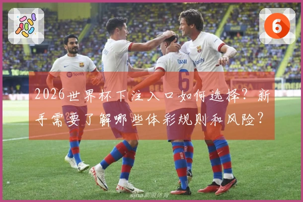 2026世界杯下注入口如何选择？新手需要了解哪些体彩规则和风险？