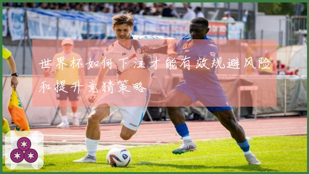 世界杯如何下注才能有效规避风险和提升竞猜策略