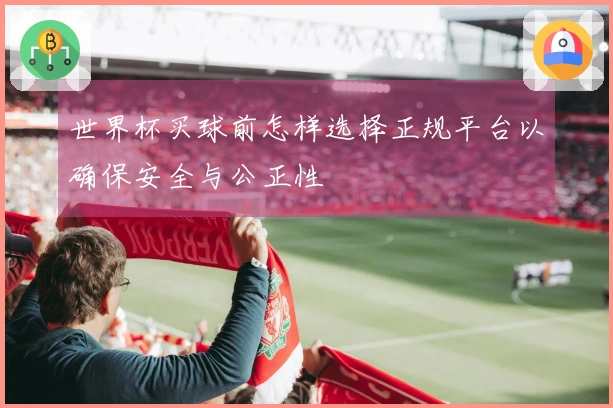 世界杯买球前怎样选择正规平台以确保安全与公正性