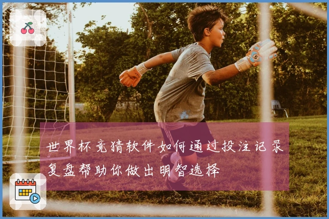 世界杯竞猜软件如何通过投注记录复盘帮助你做出明智选择