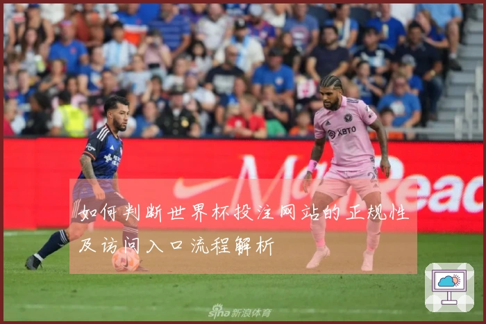 如何判断世界杯投注网站的正规性及访问入口流程解析
