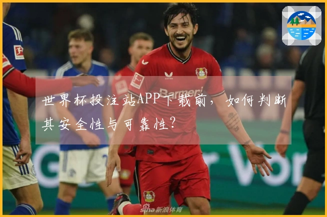 世界杯投注站APP下载前,如何判断其安全性与可靠性?