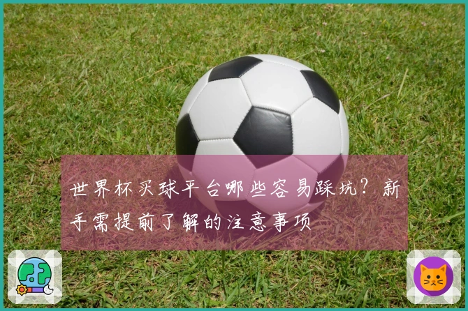 世界杯买球平台哪些容易踩坑？新手需提前了解的注意事项