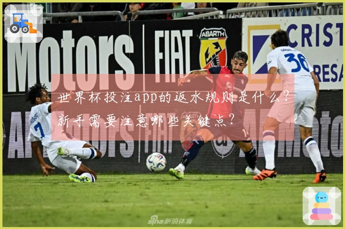 世界杯投注app的返水规则是什么？新手需要注意哪些关键点？