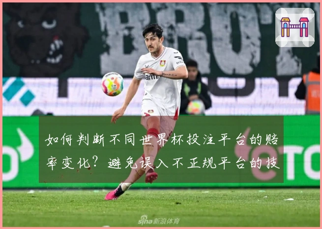 如何判断不同世界杯投注平台的赔率变化？避免误入不正规平台的技巧与思路
