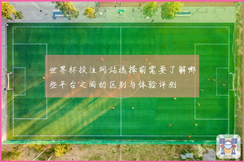 世界杯投注网站选择前需要了解哪些平台之间的区别与体验评测