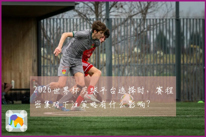 2026世界杯买球平台选择时，赛程密集对下注策略有什么影响？