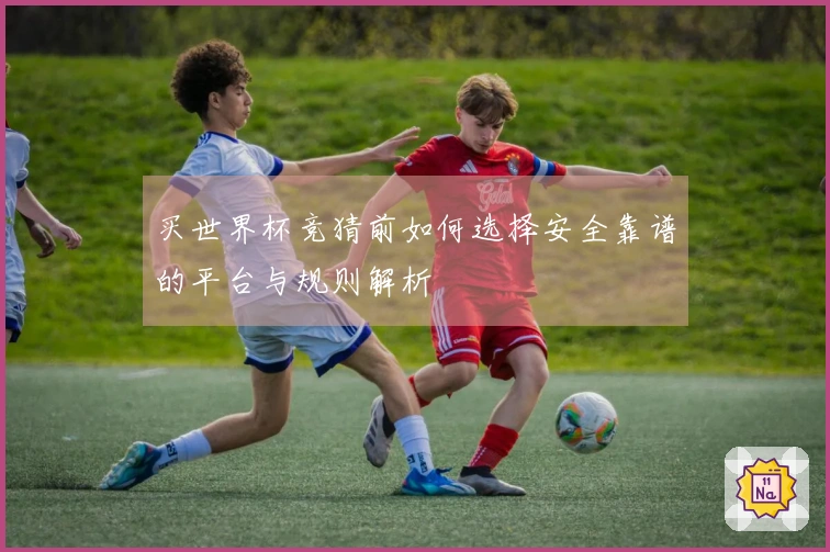 买世界杯竞猜前如何选择安全靠谱的平台与规则解析