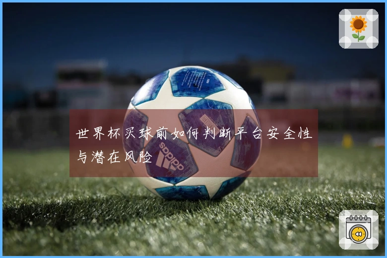 世界杯买球前如何判断平台安全性与潜在风险