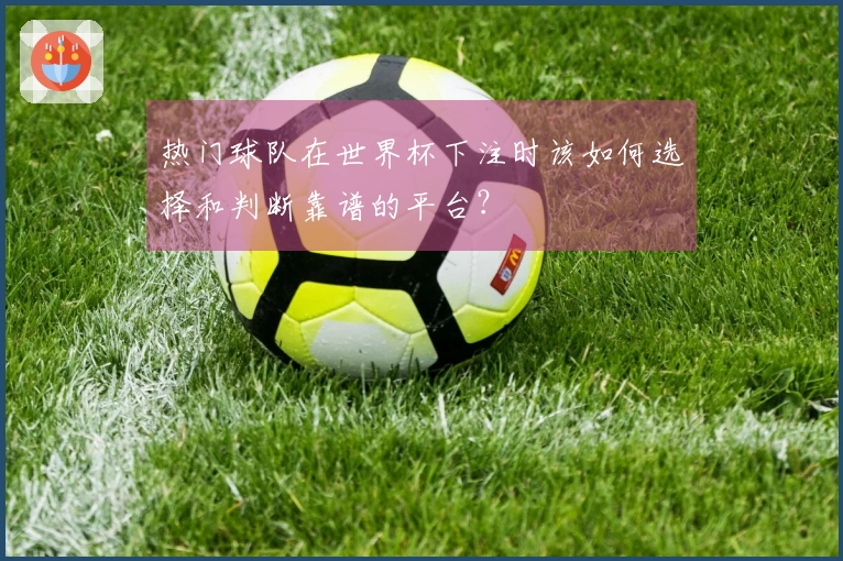 热门球队在世界杯下注时该如何选择和判断靠谱的平台？