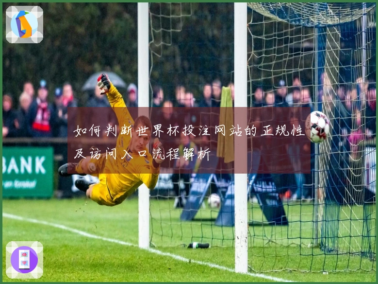 如何判断世界杯投注网站的正规性及访问入口流程解析