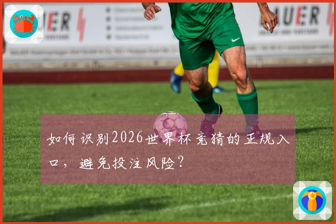 如何识别2026世界杯竞猜的正规入口，避免投注风险？