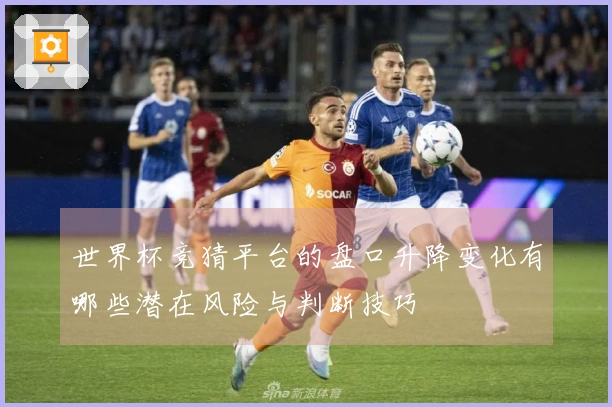 世界杯竞猜平台的盘口升降变化有哪些潜在风险与判断技巧