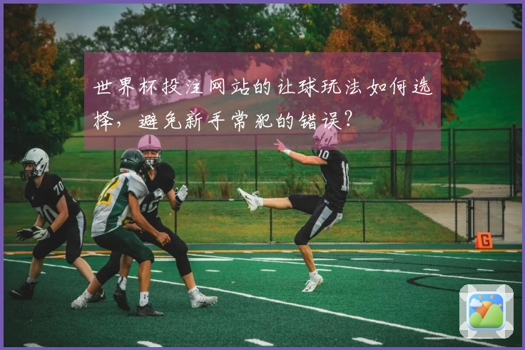 世界杯投注网站的让球玩法如何选择，避免新手常犯的错误？