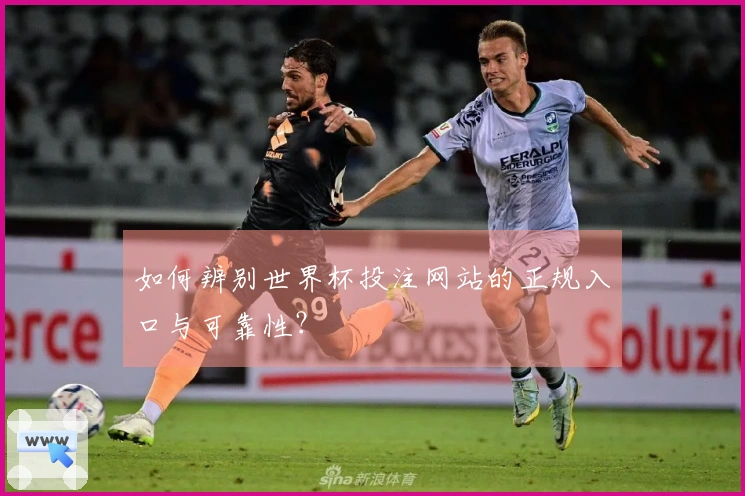 如何辨别世界杯投注网站的正规入口与可靠性?