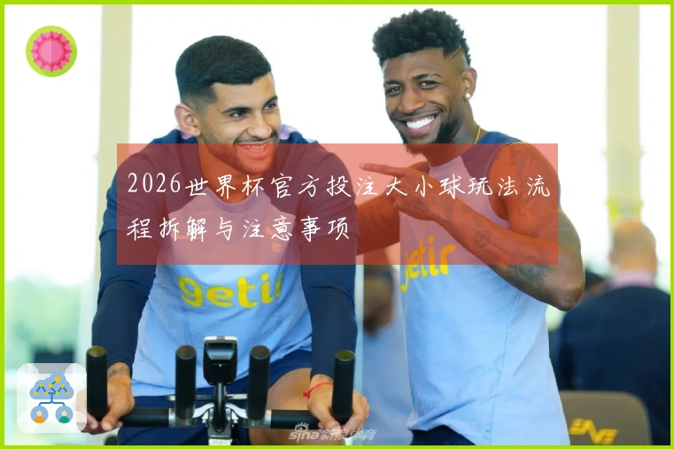 2026世界杯官方投注大小球玩法流程拆解与注意事项