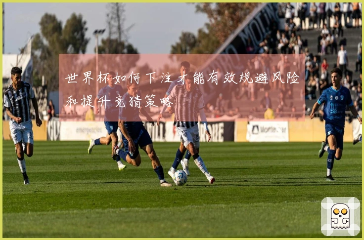 世界杯如何下注才能有效规避风险和提升竞猜策略