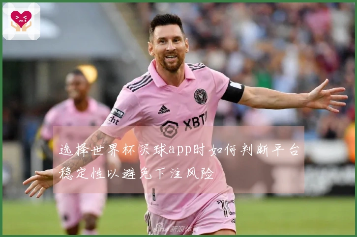 选择世界杯买球app时如何判断平台稳定性以避免下注风险