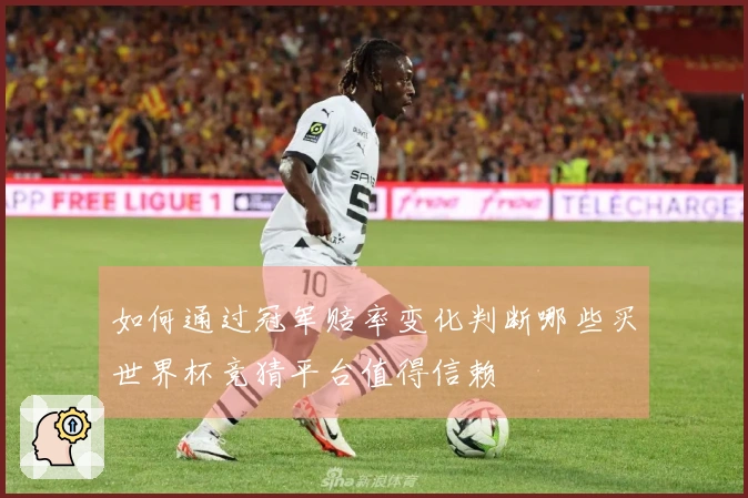 如何通过冠军赔率变化判断哪些买世界杯竞猜平台值得信赖