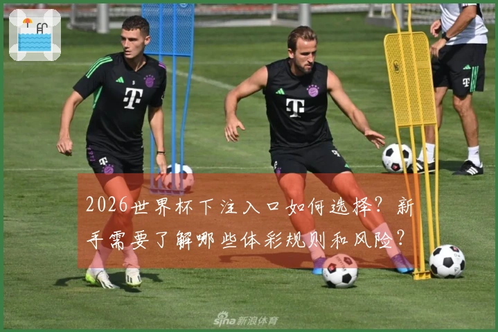 2026世界杯下注入口如何选择?新手需要了解哪些体彩规则和风险?