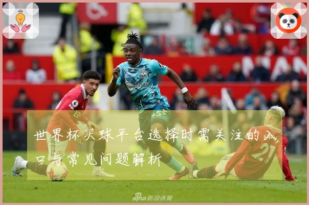 世界杯买球平台选择时需关注的入口与常见问题解析