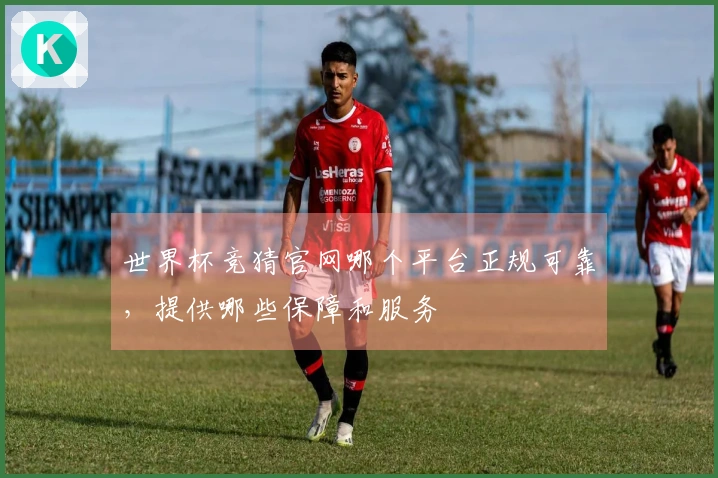 世界杯竞猜官网哪个平台正规可靠，提供哪些保障和服务